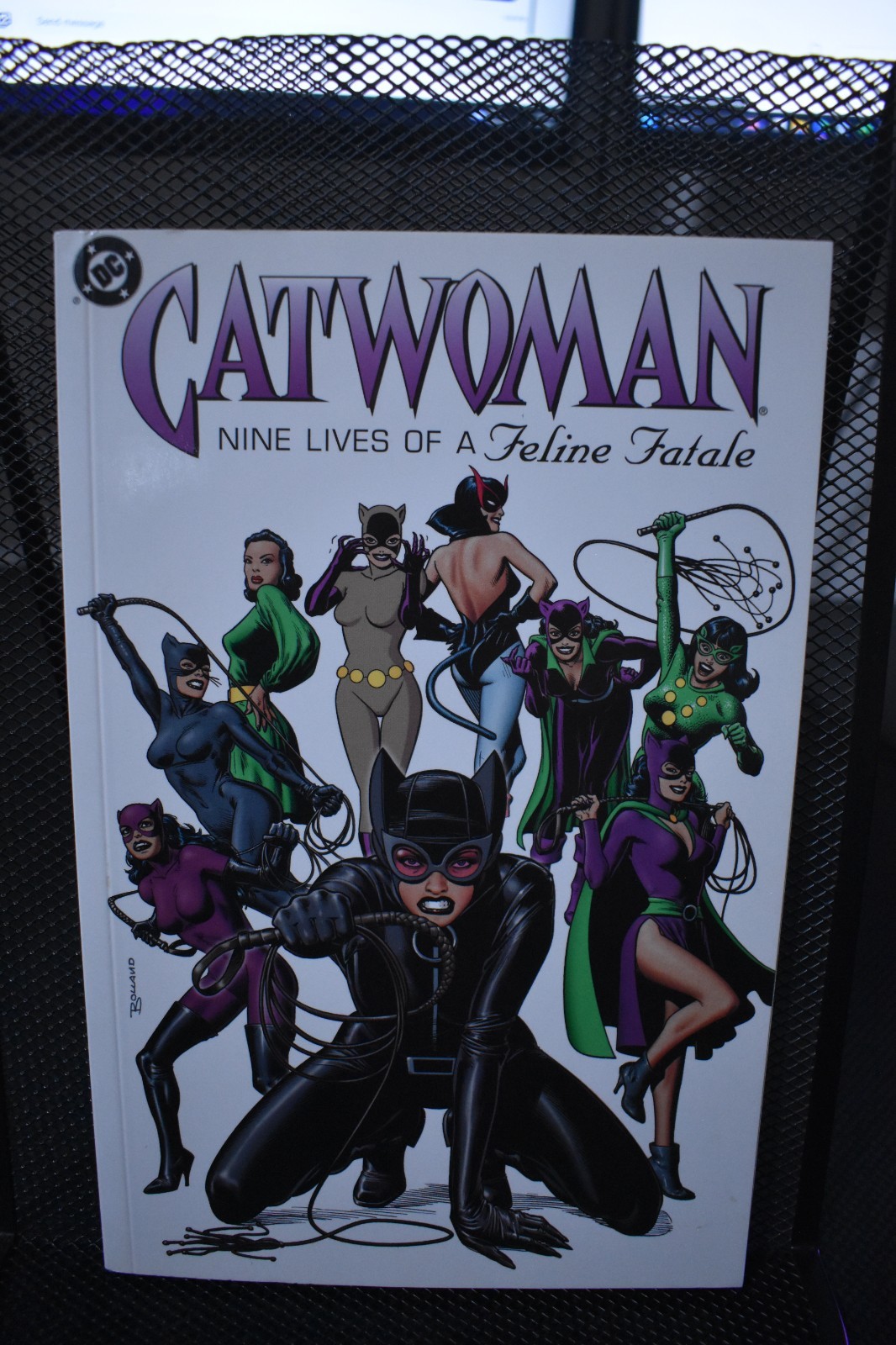 Catwoman Nine Lives of a Feline Fatale DC TPB 2004 1st Print Selina Kyle Batman
