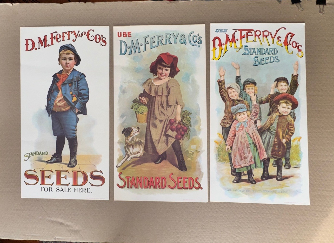 Vintage D.M. Ferry & Co. Standard Seeds Advertising Posters 1960's Vintage D.M. Ferry & Co. Standard Seeds Advertising Posters 1960's