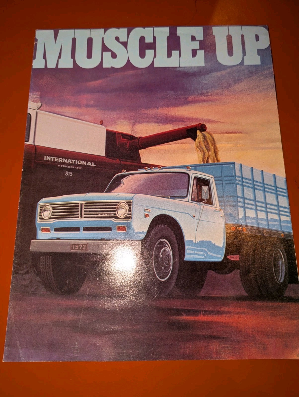 1974 INTERNATIONAL 1310 & 1510 Truck \