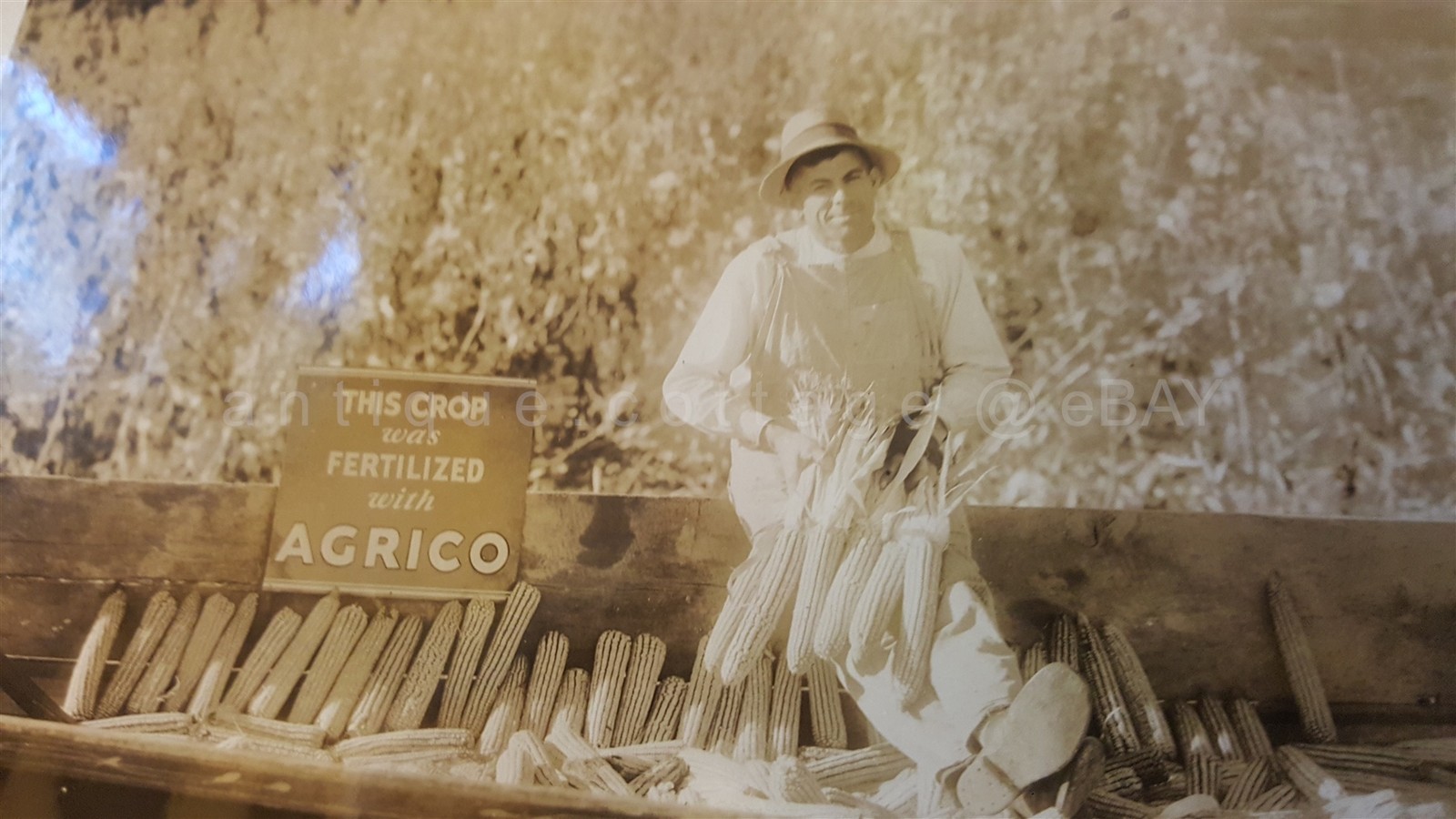 1950s vintage AGRICO FARM PHOTOGRAPHs original FARMERS CORN SIGN HOUSE advertise
