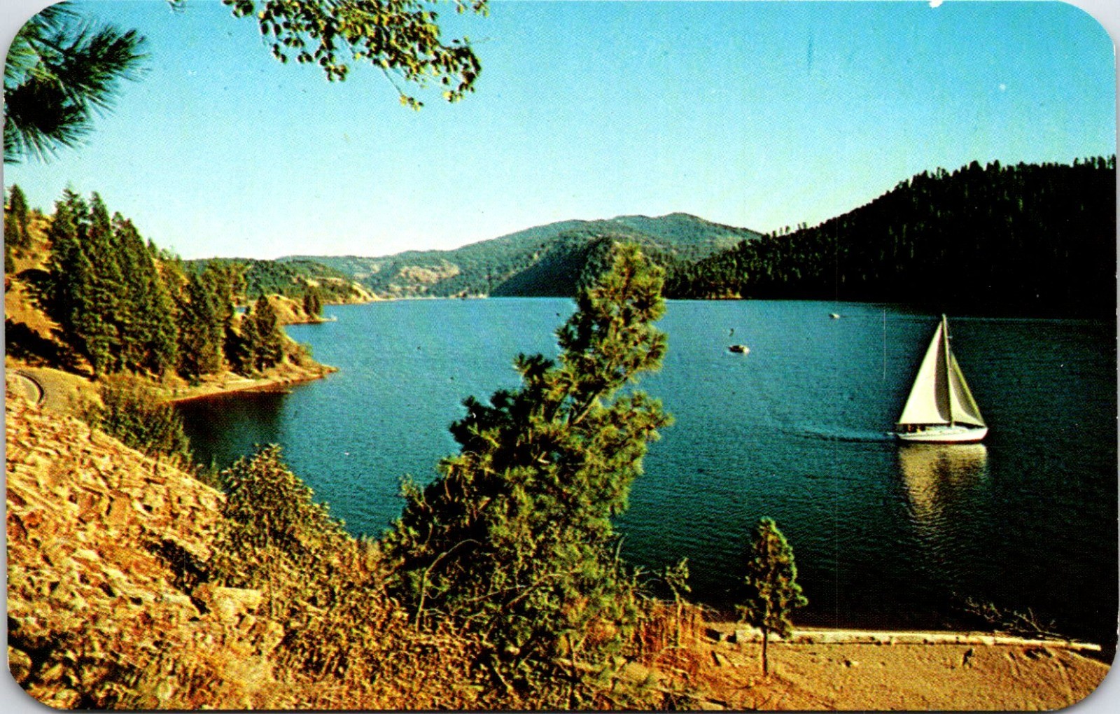 Lake Cour d\' Alene Sailboats cruisers Outboards Idaho Postcard E101