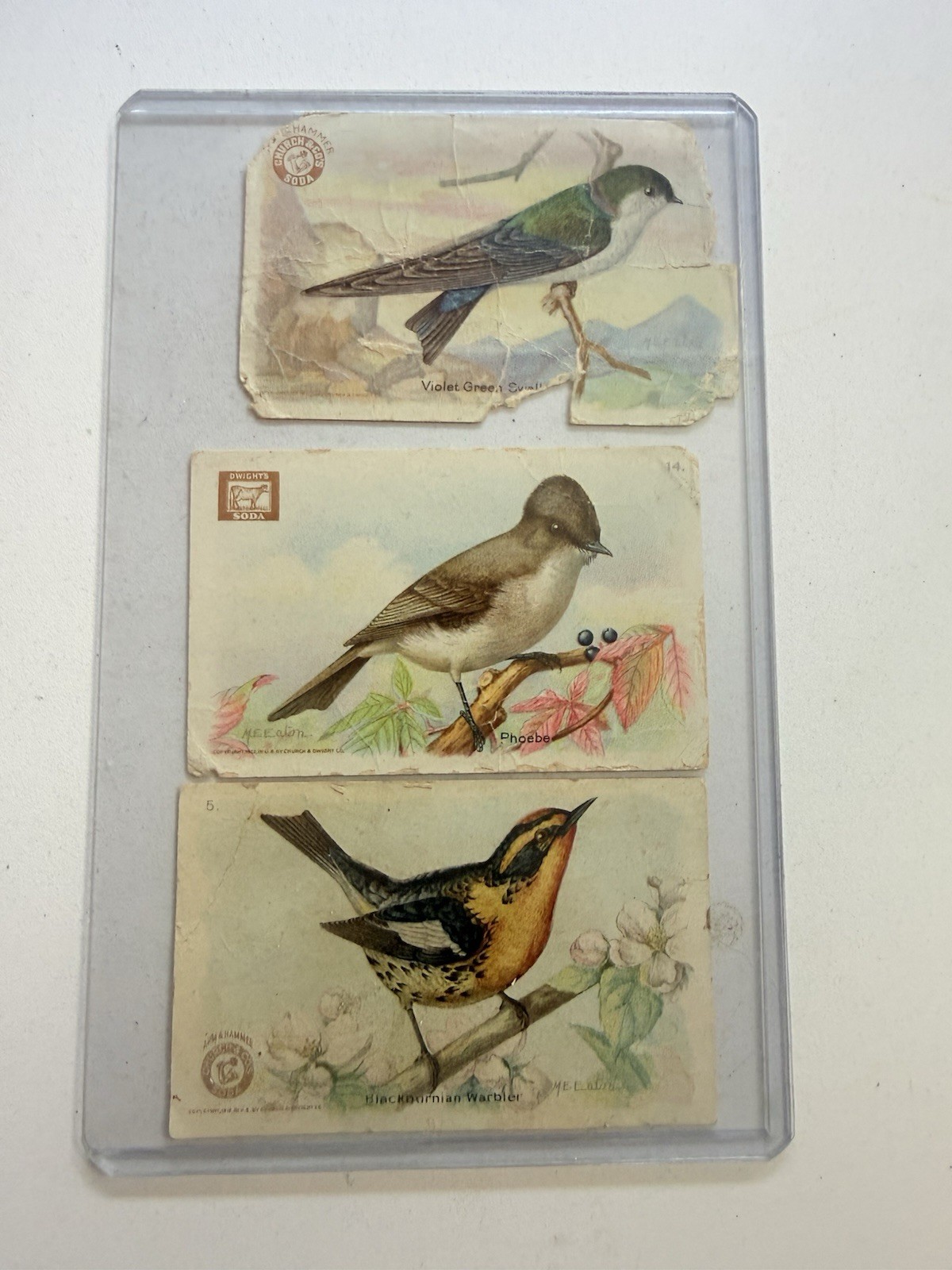 1918 1922 Useful Birds America Church Dwight Arm Hammer Cards Lot of 3 Antique