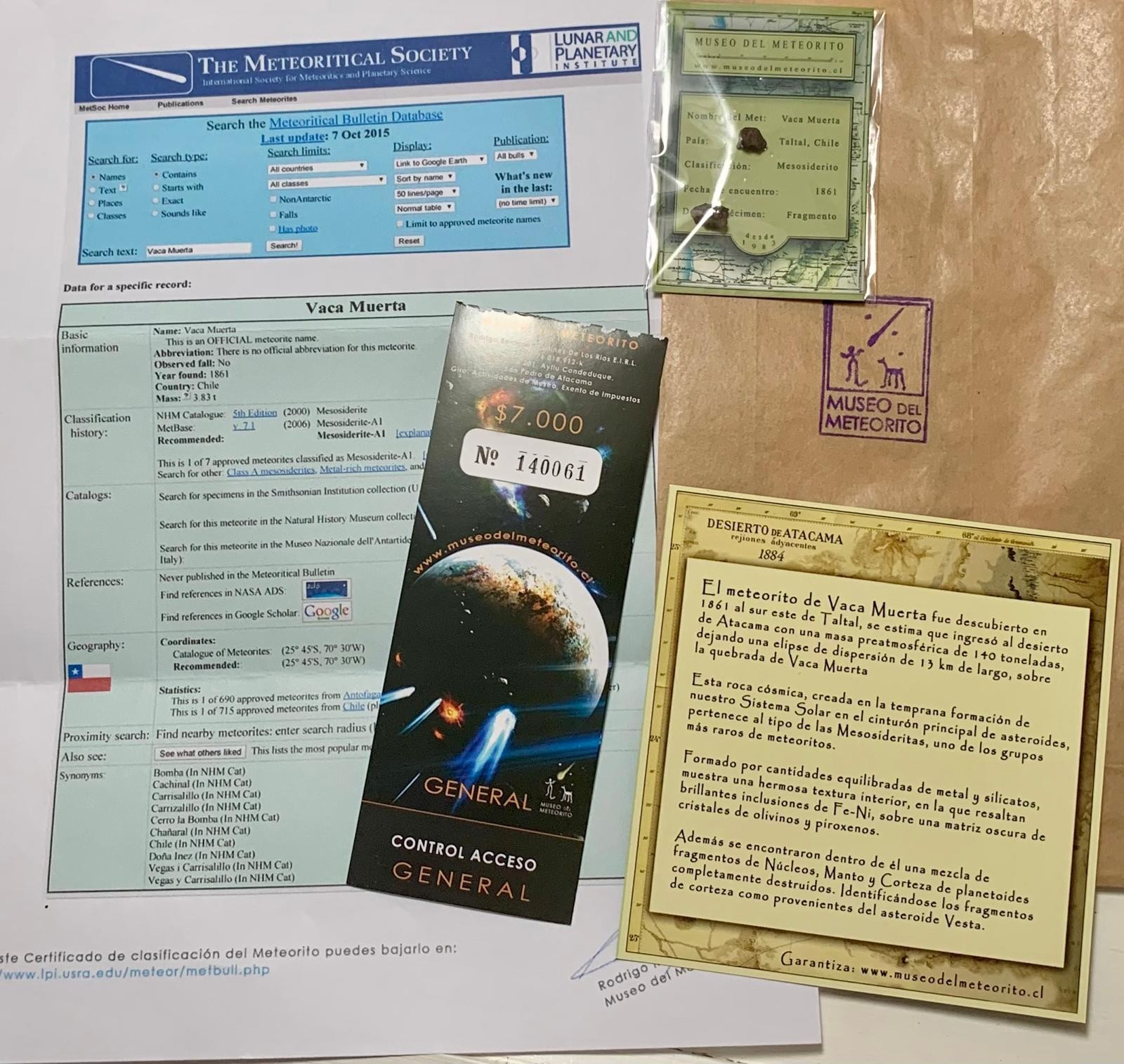 A very rare meteorite Vaca Muerta from the Atacama Desert Certificate included