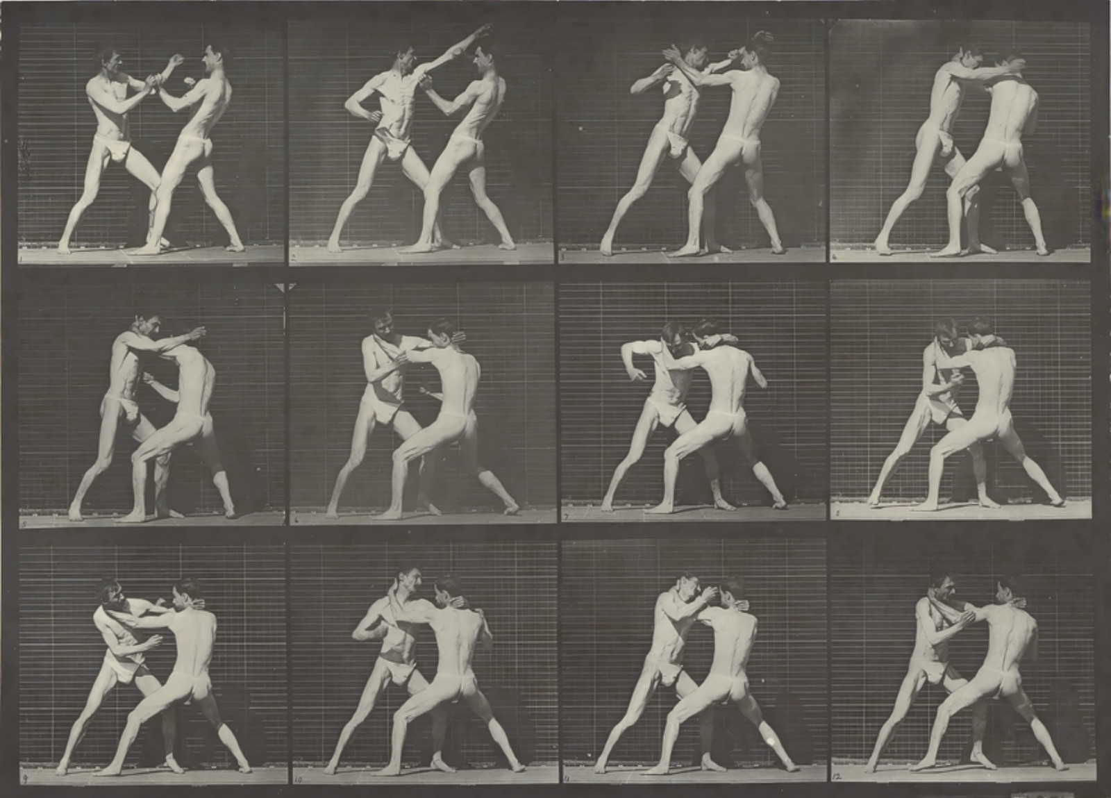 Locomotion by  Eadweard J. Muybridge (American, born England, 1830 - 1904)