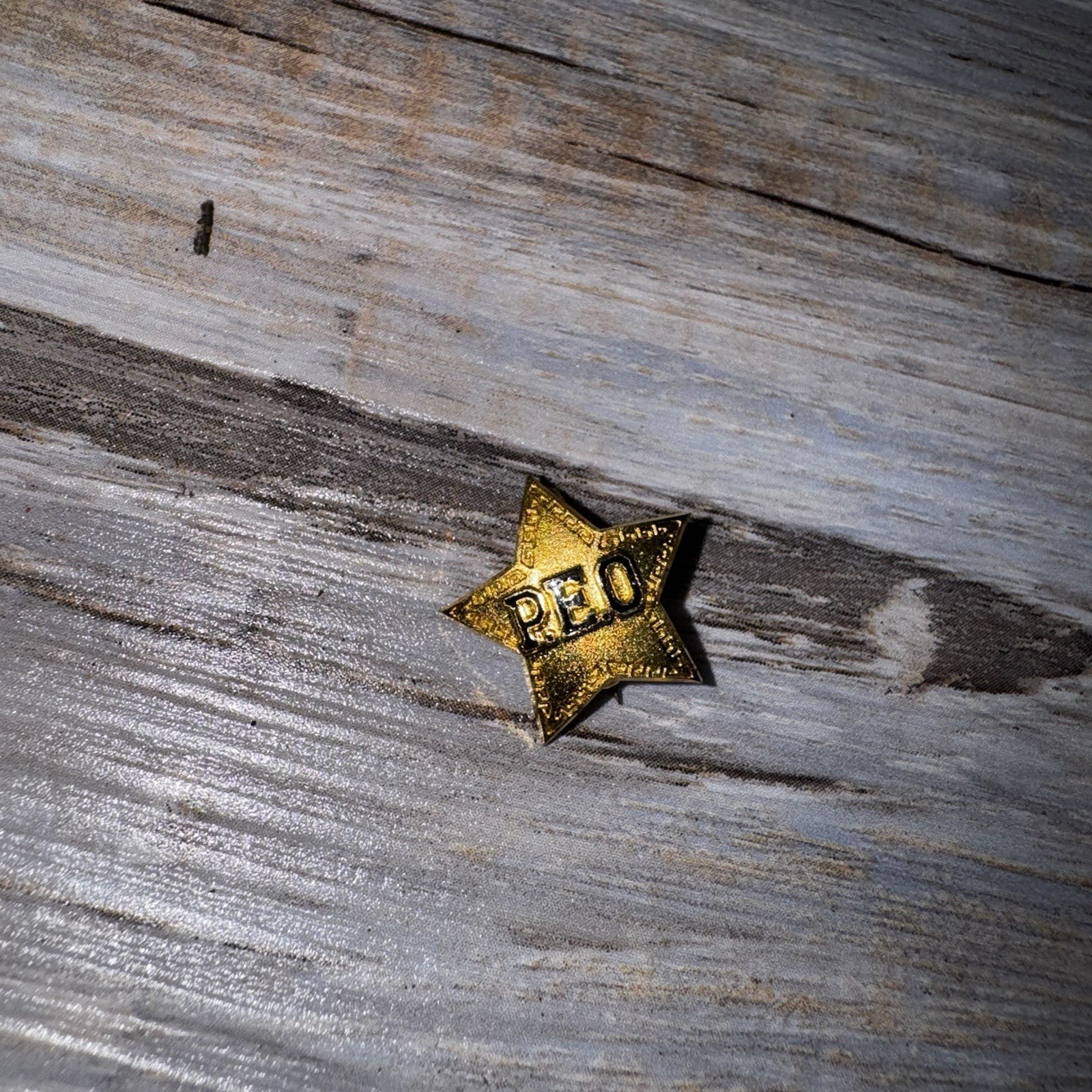 Vtg 1974 PEO Sisterhood Society 10K Gold Star Member Pin - Washington
