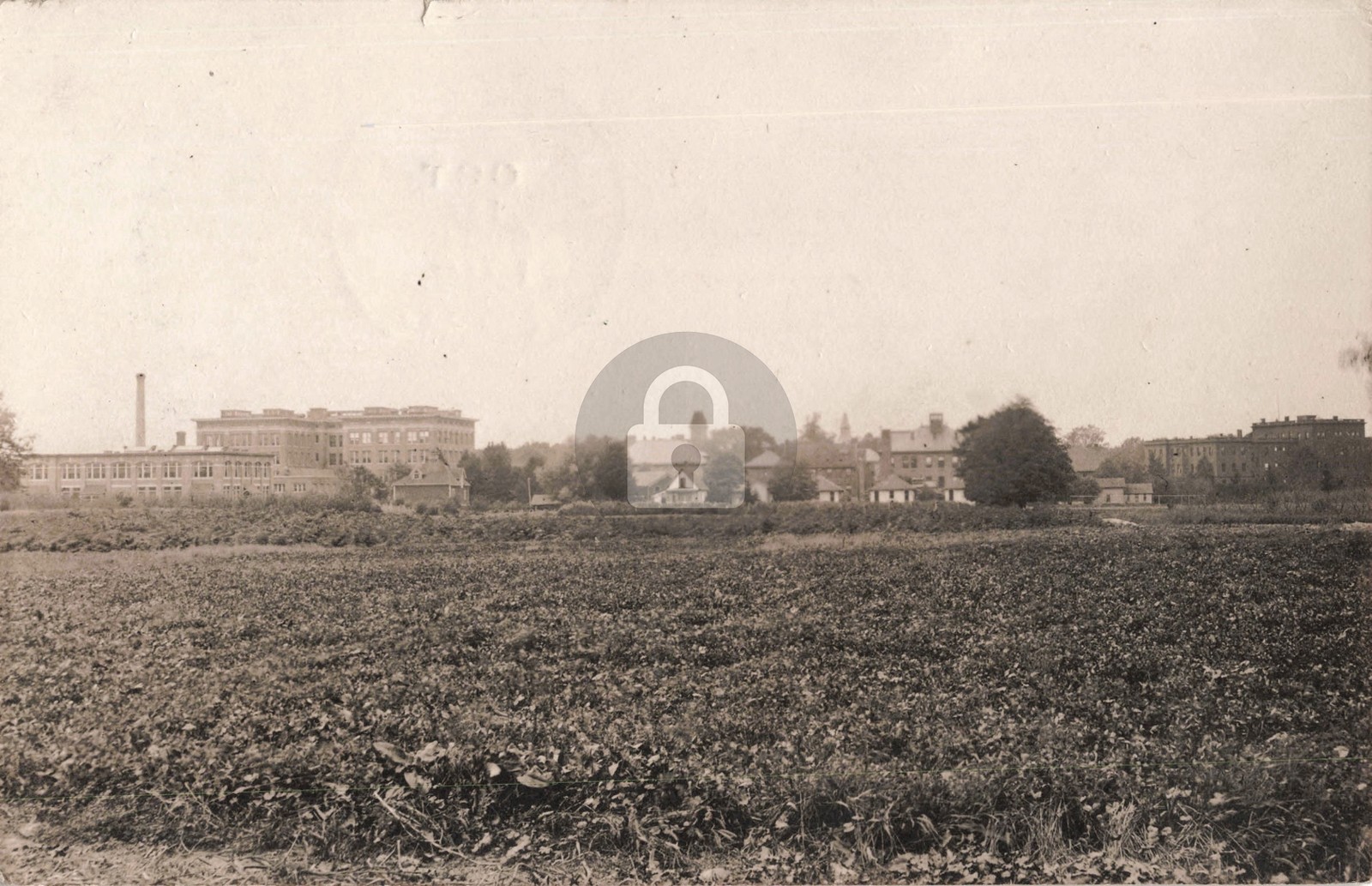 Street View Agricultural College MI Michigan 1915 RPPC Photo Postcard COPY Street View Agricultural College MI Michigan 1915 RPPC Photo Postcard COPY