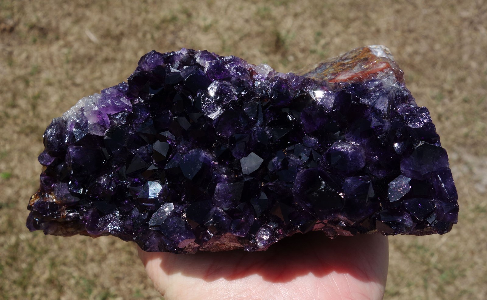 Rare BLACK GRAPE AMETHYST Quartz URUGUAY Crystal Points with Wood Base For Sale