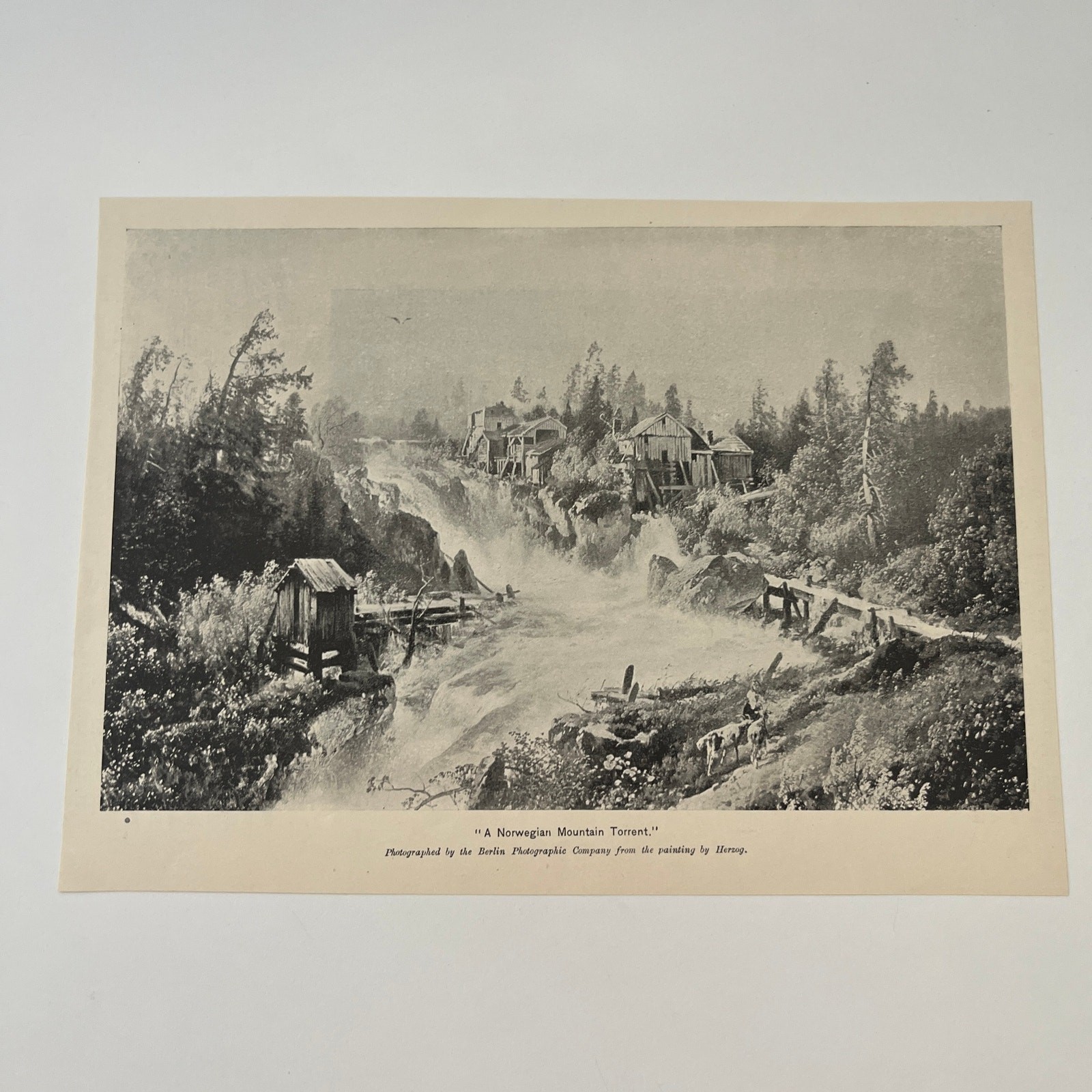 Berlin Photographic Company A Norwegian Mountain Torrent 1894 Art Print SAG9-2