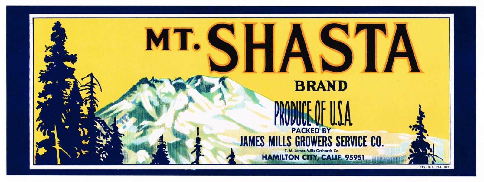 CRATE LABEL MOUNT MT SHASTA HAMILTON CITY BUTTE COUNTY ORIGINAL VINTAGE NORCAL