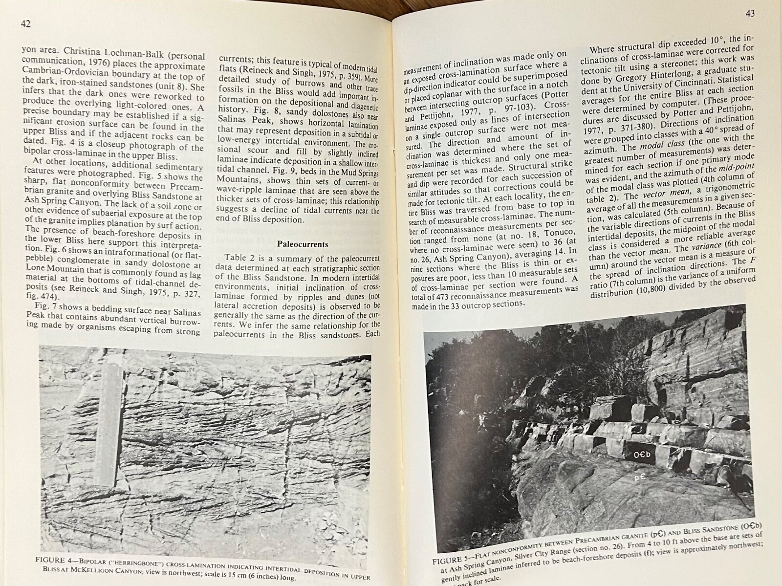 New Mexico Bureau of Mines & Mineral Resources Annual Report Geology Fossil Book