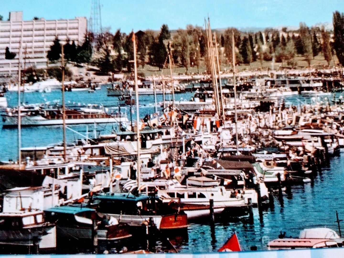 PHOTO POST CARD SEATTLE YACHT HARBOR SEATTLE WA PHOTO POST CARD SEATTLE YACHT HARBOR SEATTLE WA