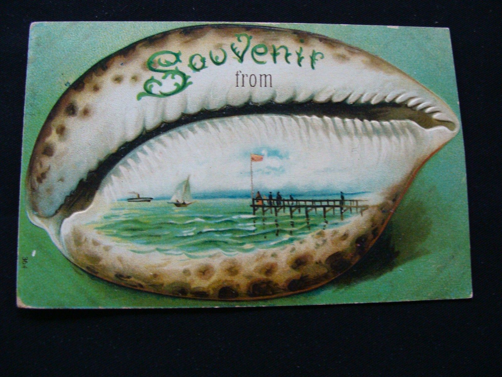 Seashell Souvenir Greeting Embossed Vintage Postcard