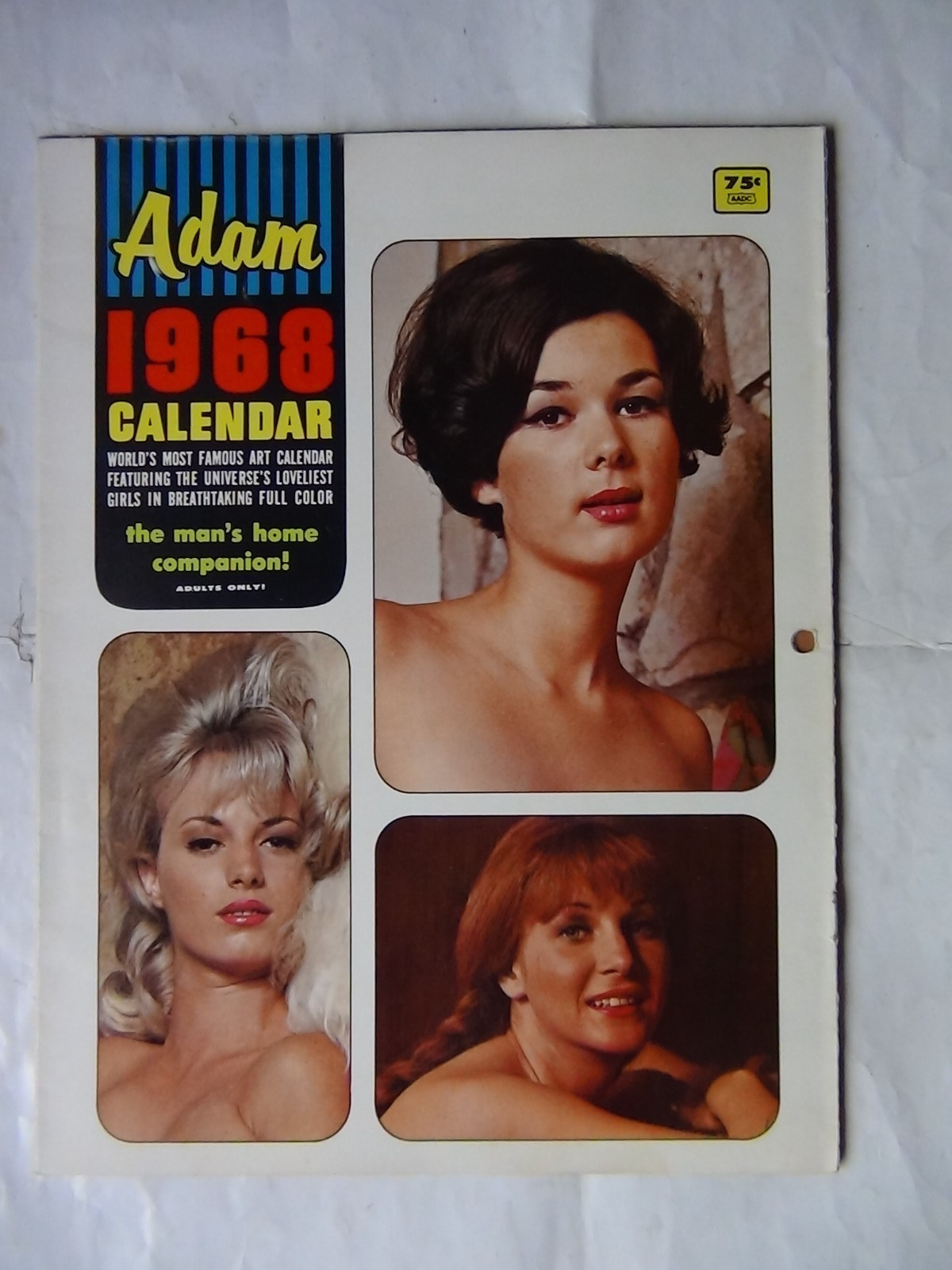 1968 Adam Pinup Wall Calendar (similar to Playboy/Penthouse)