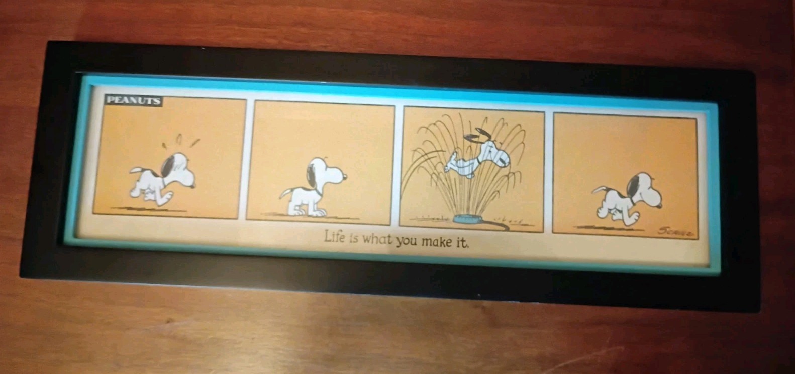 Hallmark Peanuts Snoopy Framed Comic Strip Life Is What You Make It 15\