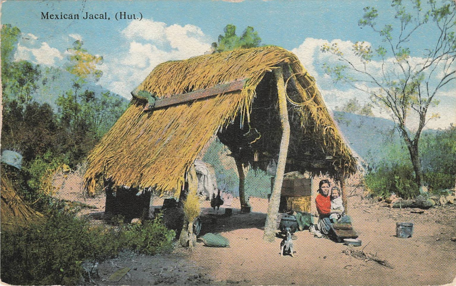 1917 Mexican Jacal Hut Texas Border Woman Child Dog Postcard Nic Tengg