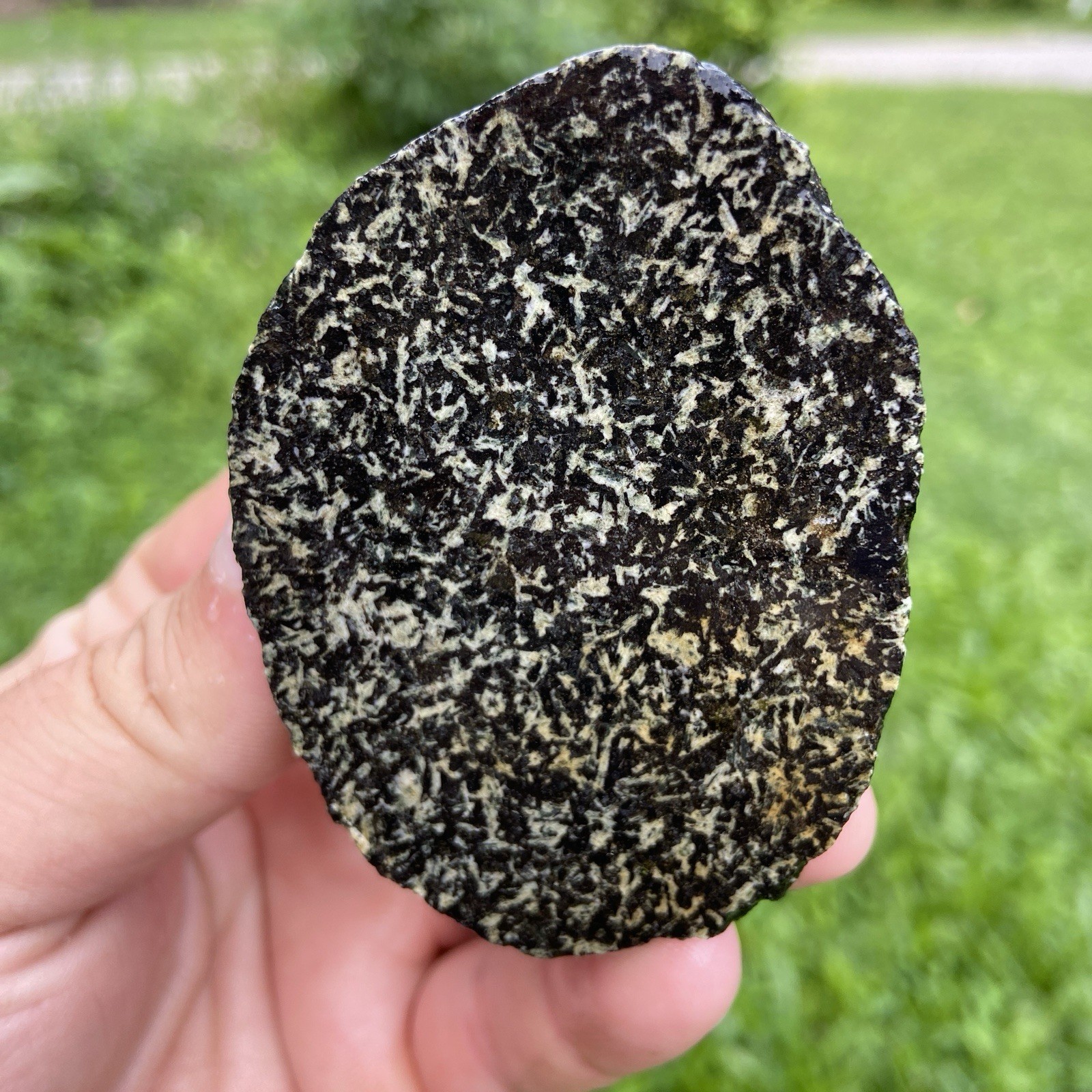 Unique Unknown Lapidary Rough Stone 7.07 Oz
