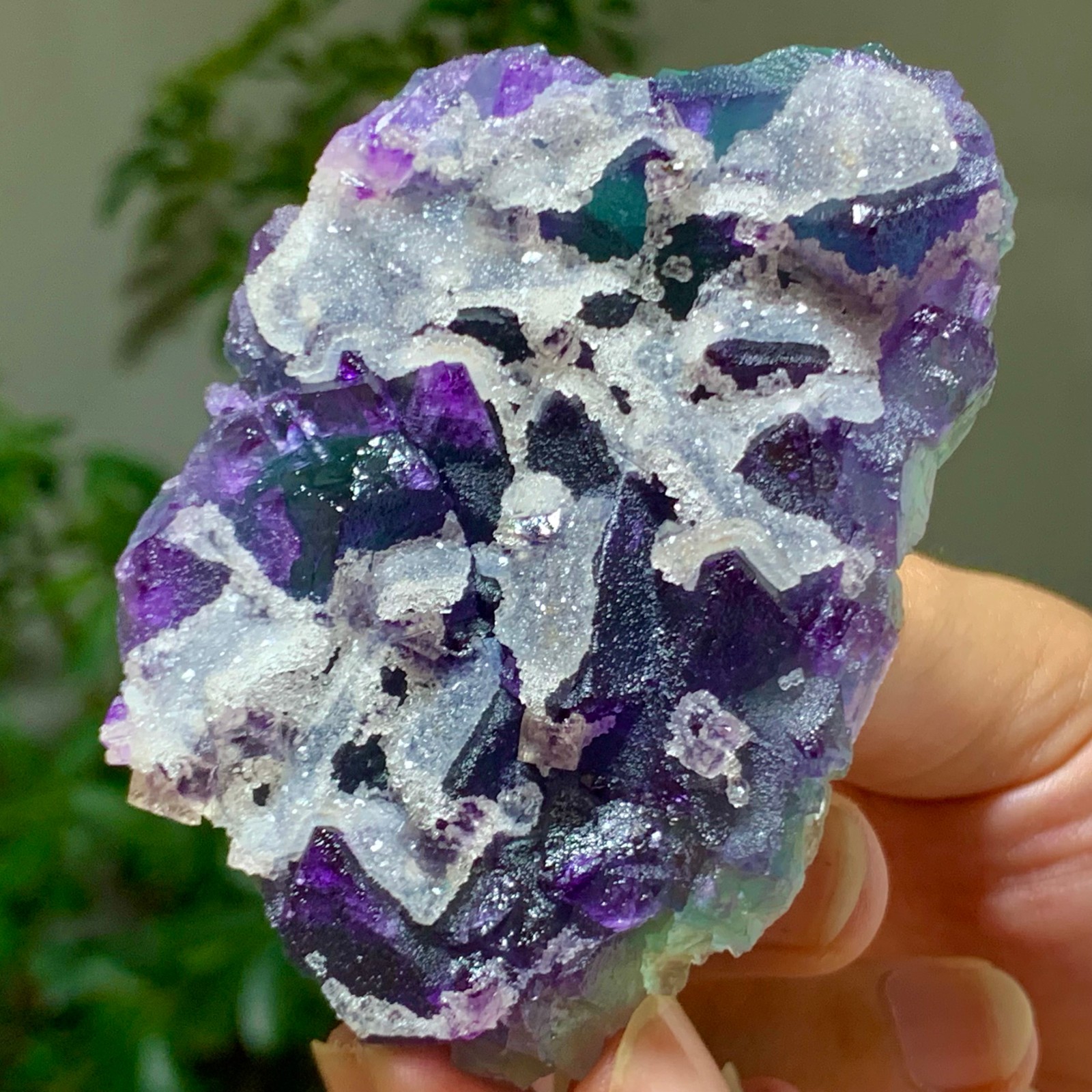 166G Rare Transparent Purple Green Cube Fluorite Mineral Crystal Specimen/China