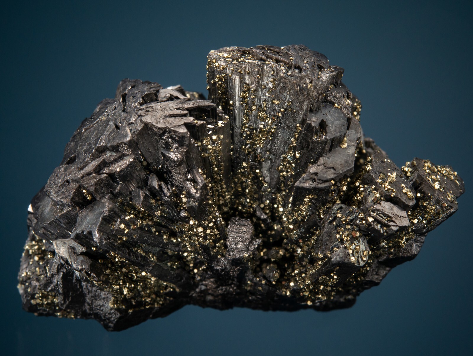 Enargite with Pyrite, Butte, Silver Bow County, Montana, ex. Harris, 1807-M93