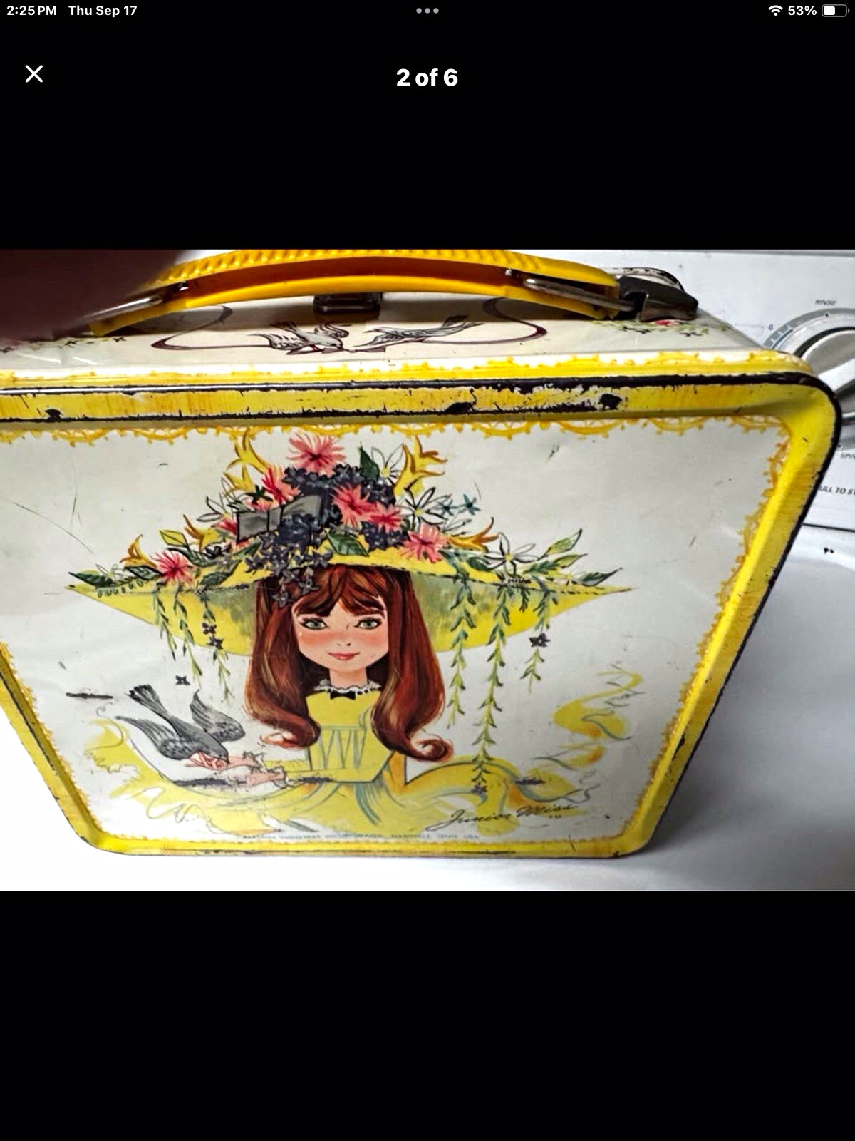 Vintage Jan Hagara Metal Lunch Box – 1973 Aladdin Industries Vintage Jan Hagara Metal Lunch Box – 1973 Aladdin Industries
