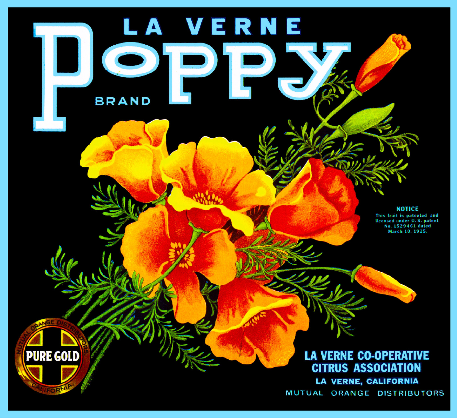 La Verne Lordsburg California Poppy Orange Citrus Fruit Crate Label Art Print La Verne Lordsburg California Poppy Orange Citrus Fruit Crate Label Art Print