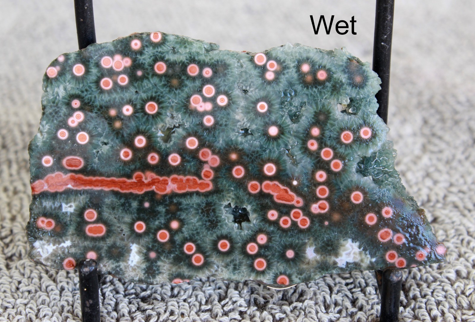 Ocean Jasper Slab Red Orbs Crystalline green Collector Lapidary vugs