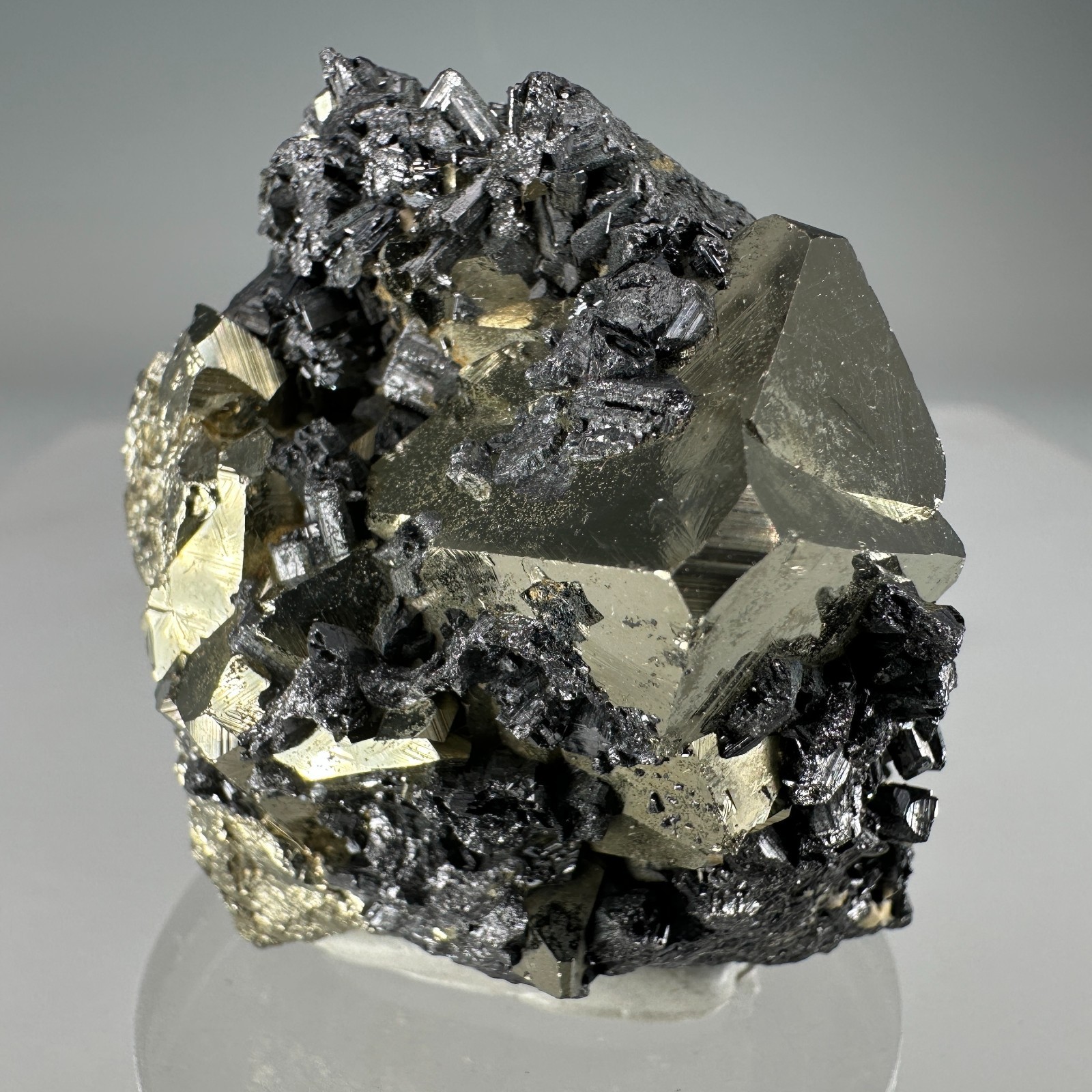 Superb Pyrite & Enargite Crystals: Tramway Mine, Butte, Silver Bow Co., Montana
