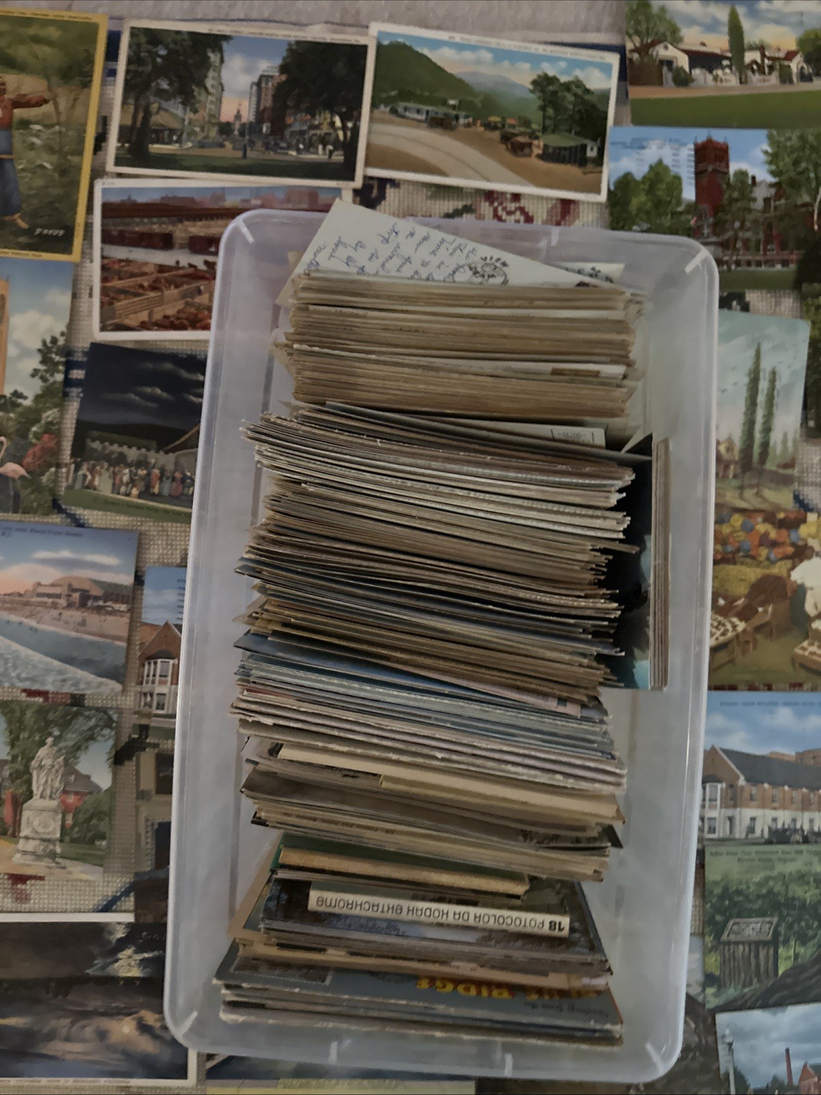 HUGE LOT  Of FLORIDA  & Other Places AVINTAGE POSTCARDS  READ DESCRIPTION