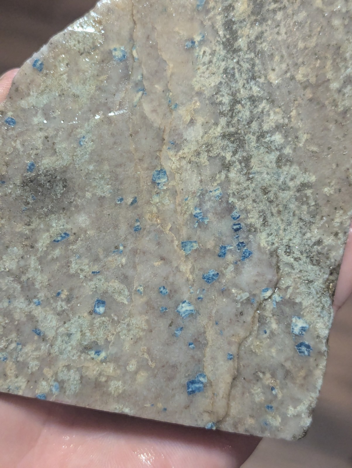 Large Lazulite Blue Crystals In Quartz Slab Stone Graves Mtn GA Georgia