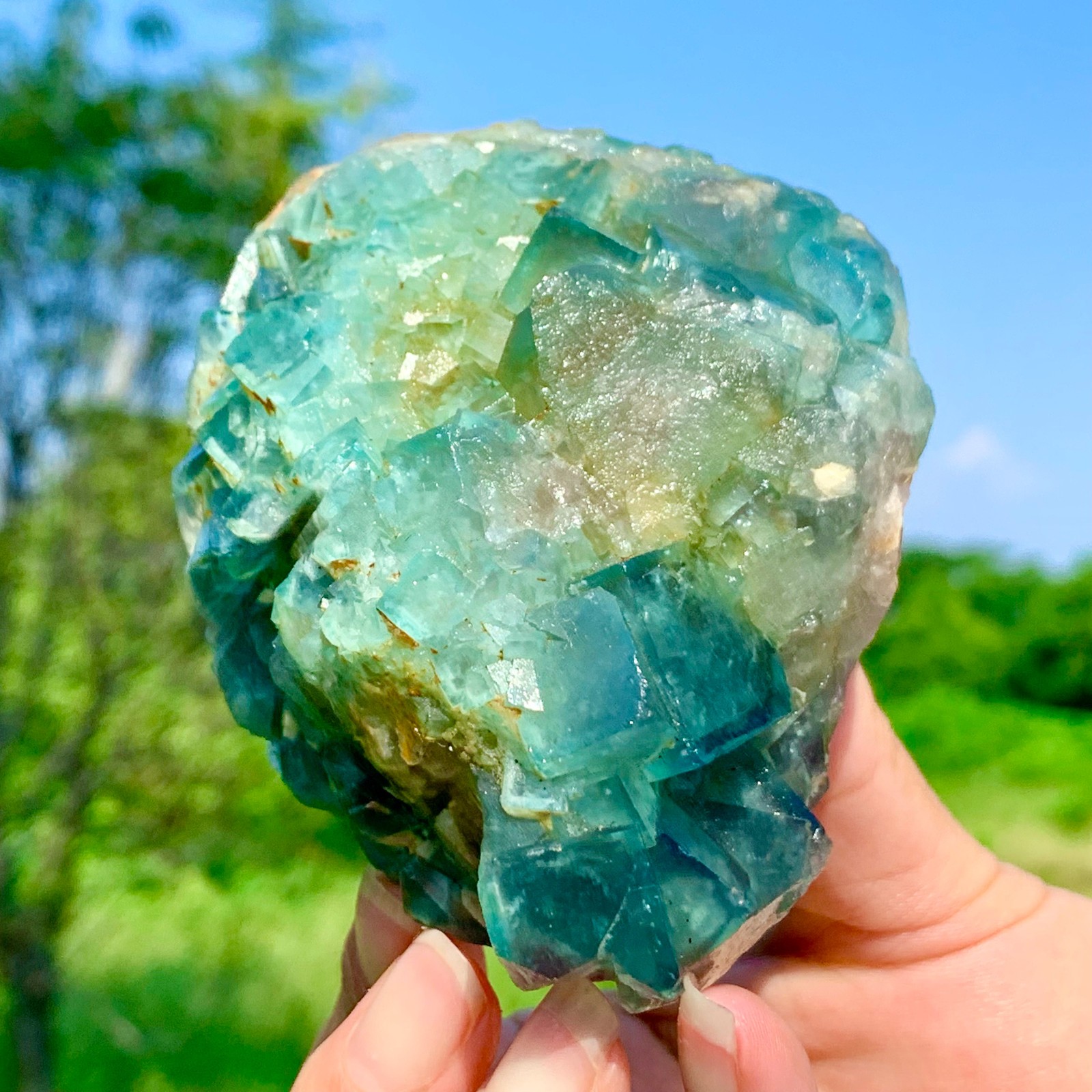 404G Rare transparent green cubic fluorite mineral crystal sample/China