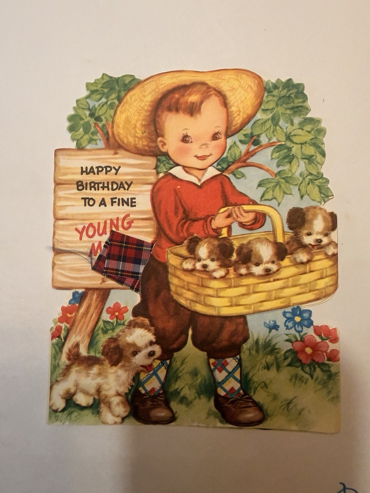 Vintage 1950\'s Happy Birthday Greeting Card To A Fine Young Man Cowboy Puppies