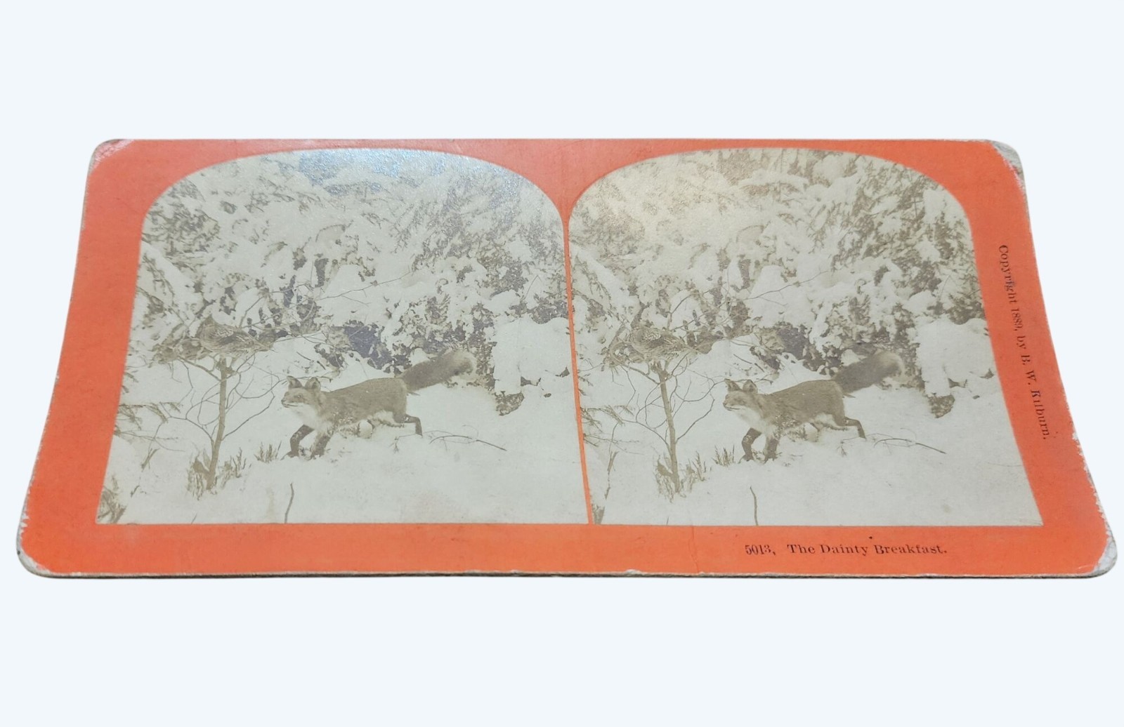 Antique 1889 B W Kilburn Stereoview The Dainty Breakfast Fox & Bird Winter Scene