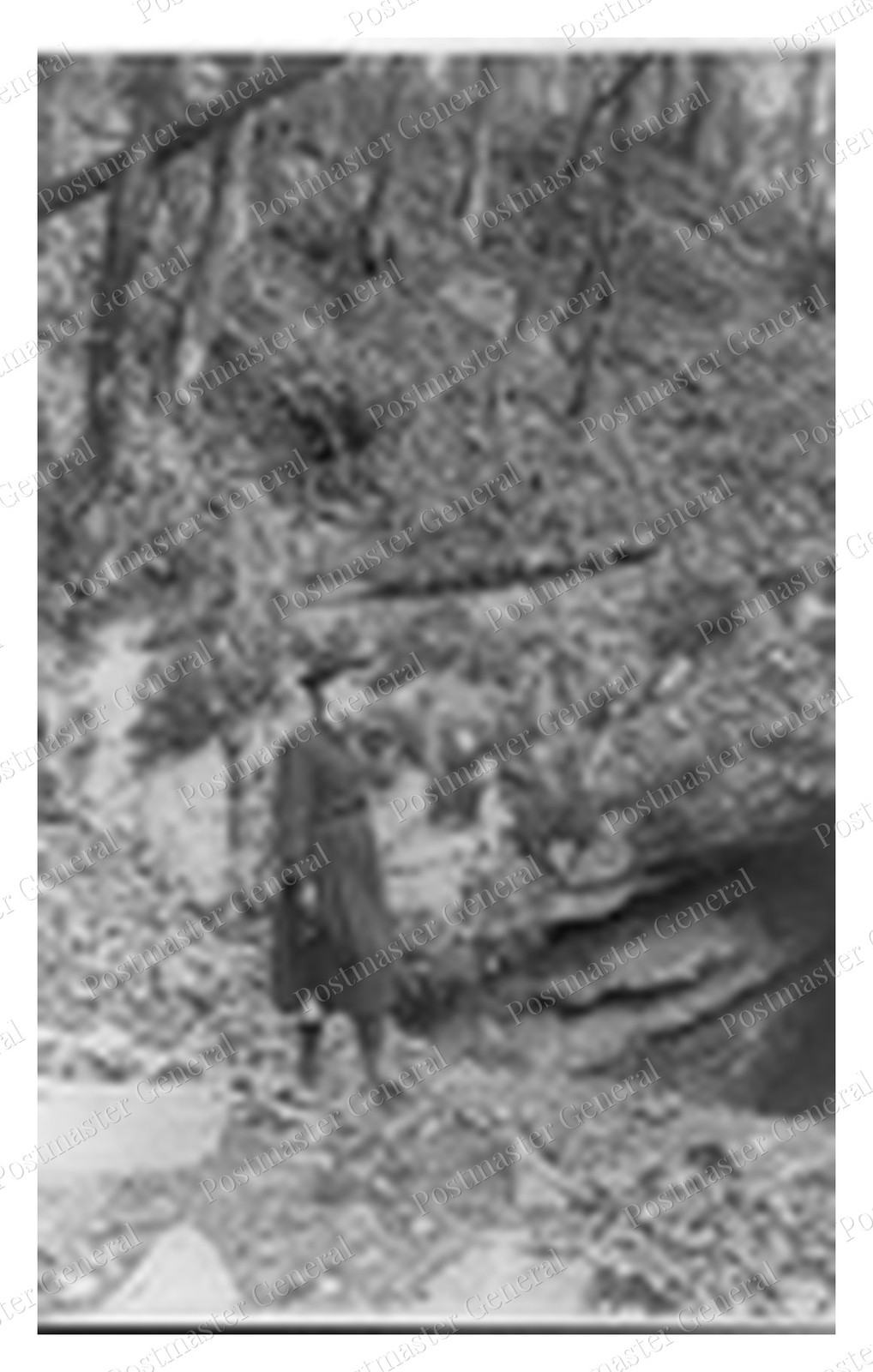 Mammoth Cave Kentucky Entrance Cliff Standard Postcard COPY RPPC Mammoth Cave Kentucky Entrance Cliff Standard Postcard COPY RPPC