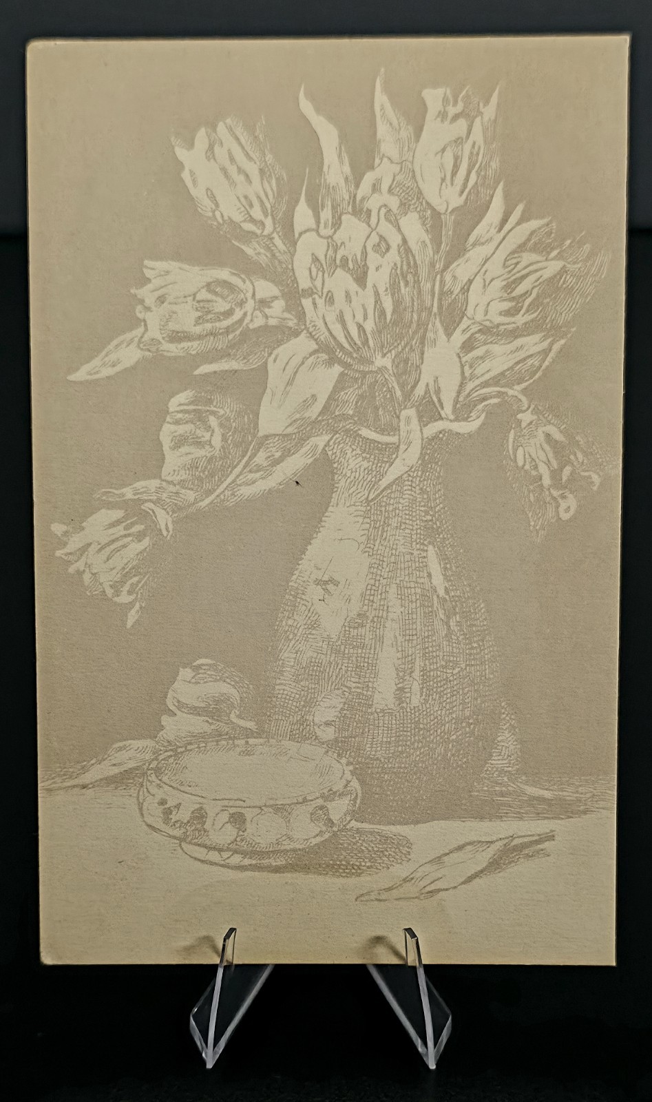 Lot 5 Antique Swiss Unpainted Floral Art Postcards Pencil Still Life