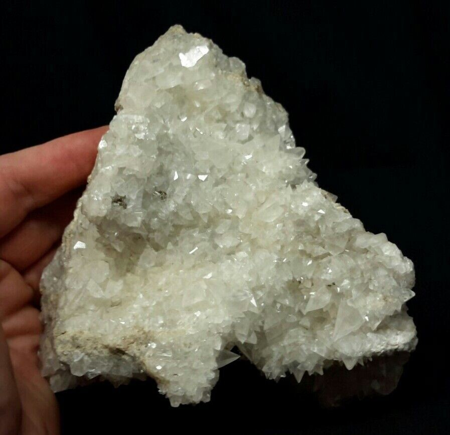 2.5 LB Superb 5\
