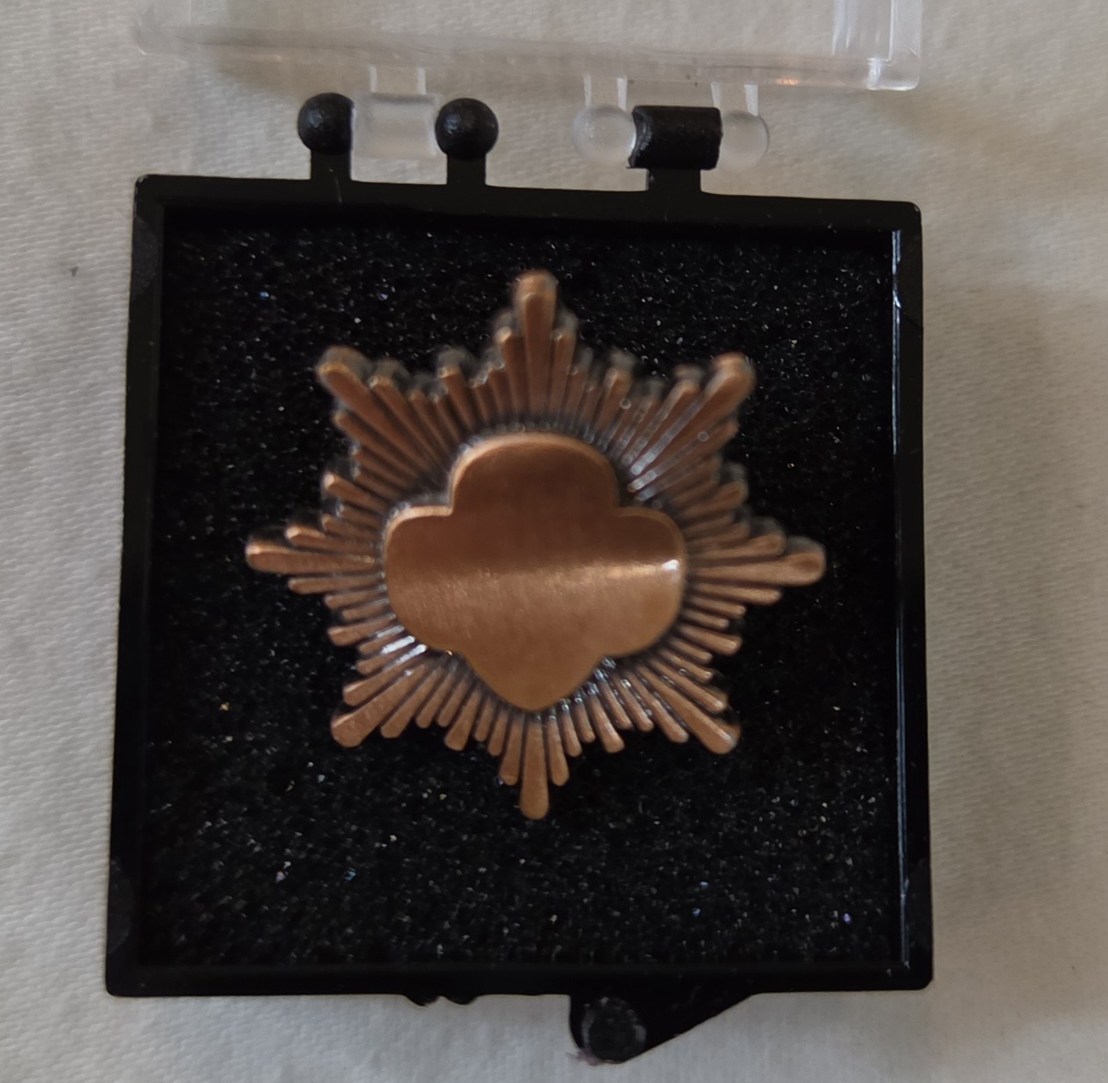 Vintage Pre - 2011 Girl Scout BRONZE AWARD PIN Junior Highest Award New in Box Vintage Pre - 2011 Girl Scout BRONZE AWARD PIN Junior Highest Award New in Box