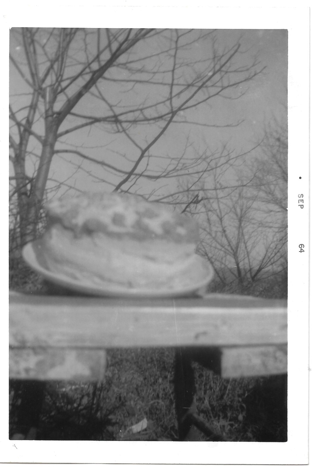 vtg abstract composition photo birthday or special occasion cake outside by tree