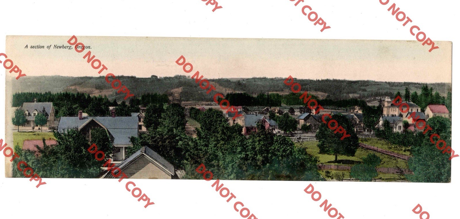 c1910 Birds Eye View Residence Section NEWBERG Oregon OR Portland Panoramic