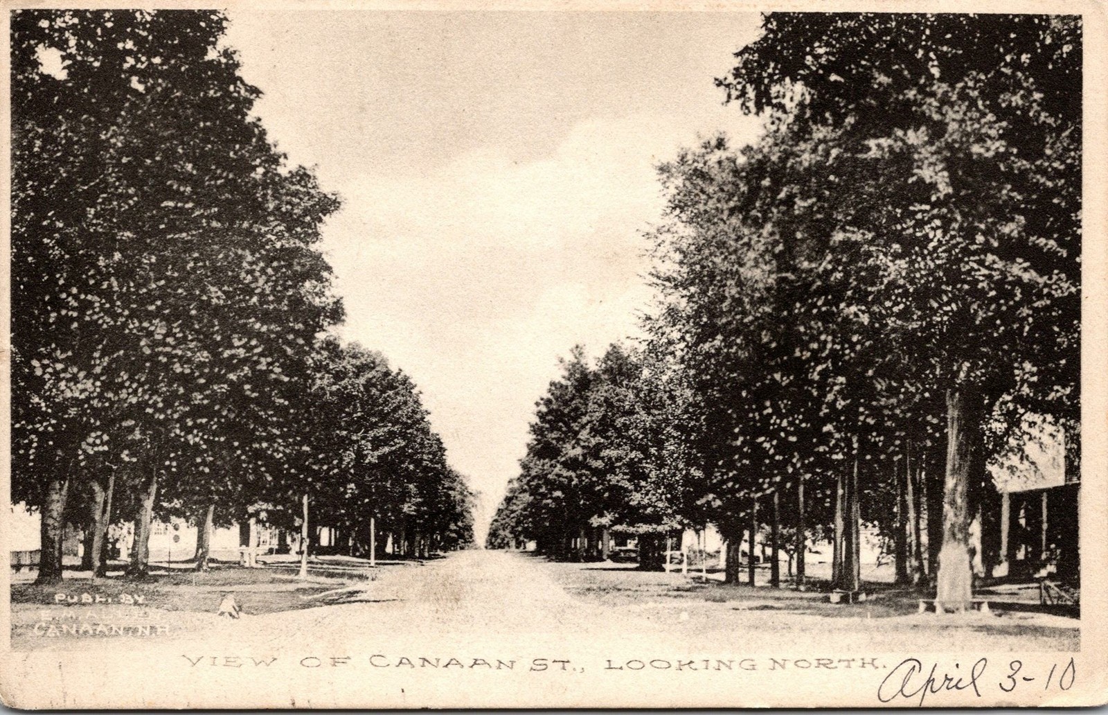 Canaan NH Canaan Street Looking North Postcard used 1910