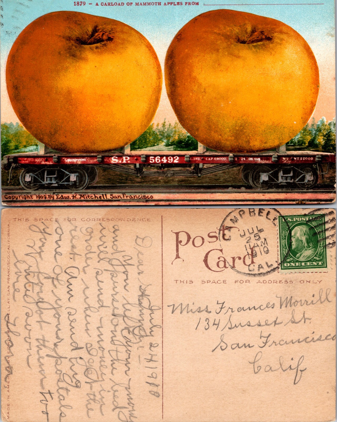 Exaggeration Mammoth Apples on Train Flatcar Campbell California CA Postcard