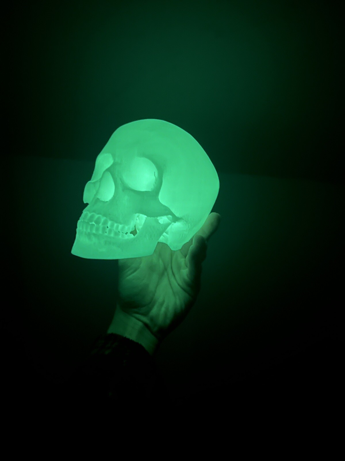 Glow In the Dark Human Skull (Good Quality:3DP:White-PLA) GREEN OR BLUE GLOW