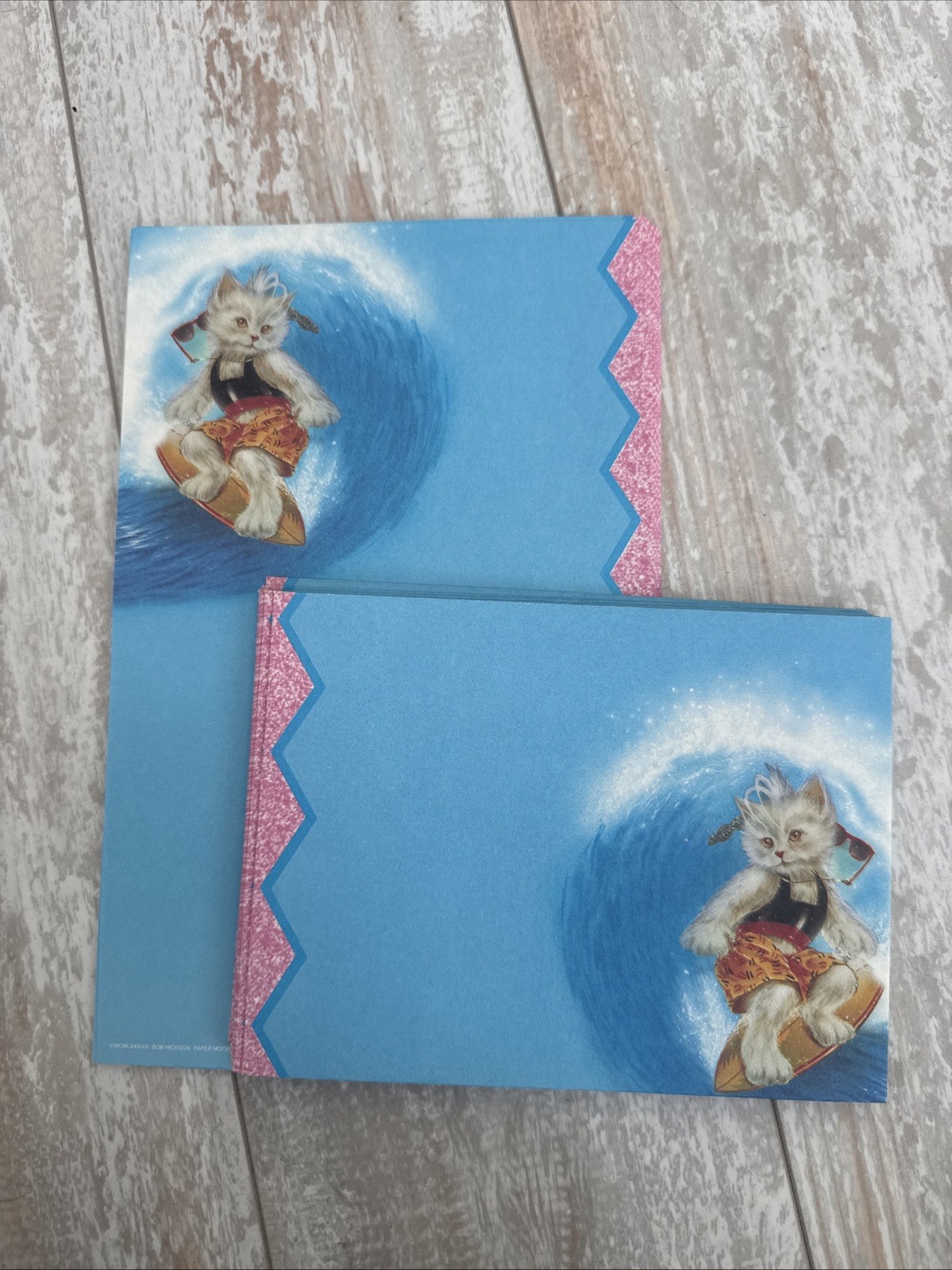 Vintage 80s Bob Hickson Cat Surfing Paper  With Envelopes
