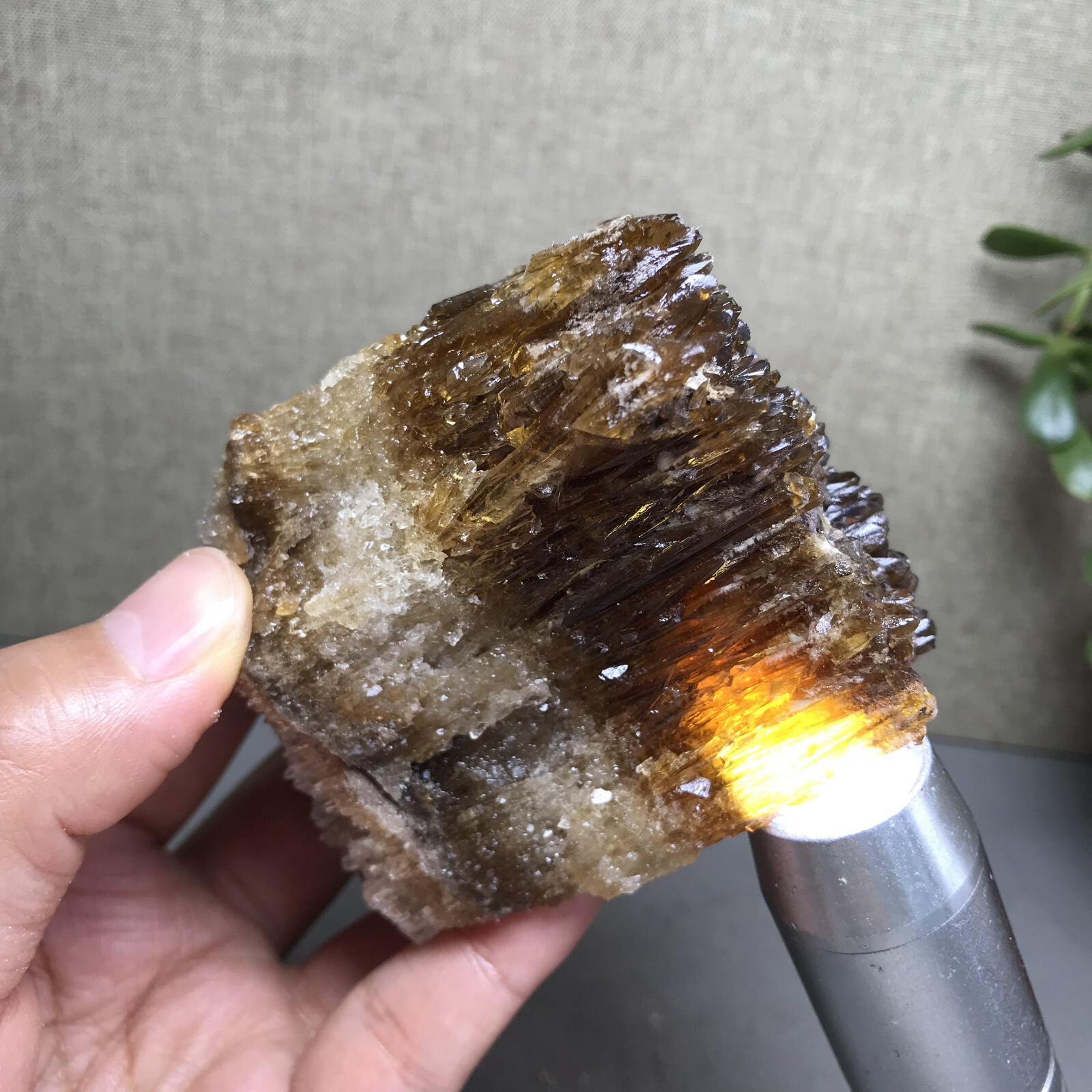 346g Amber Calcite Raw, Natural Specimen Honey Calcite Gold Calcite Mineral 3137 346g Amber Calcite Raw, Natural Specimen Honey Calcite Gold Calcite Mineral 3137