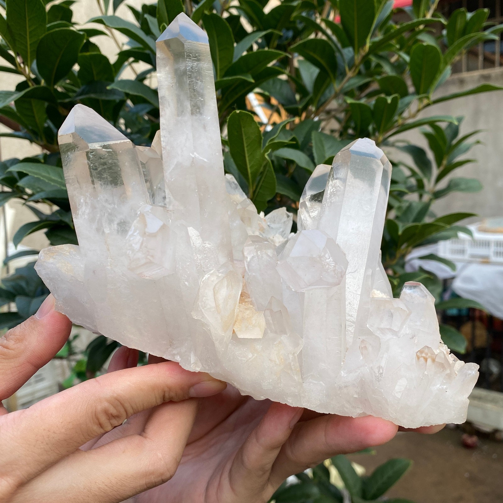 4.4lb Natural Clear White Quartz Crystal Cluster Rough Healing Specimen