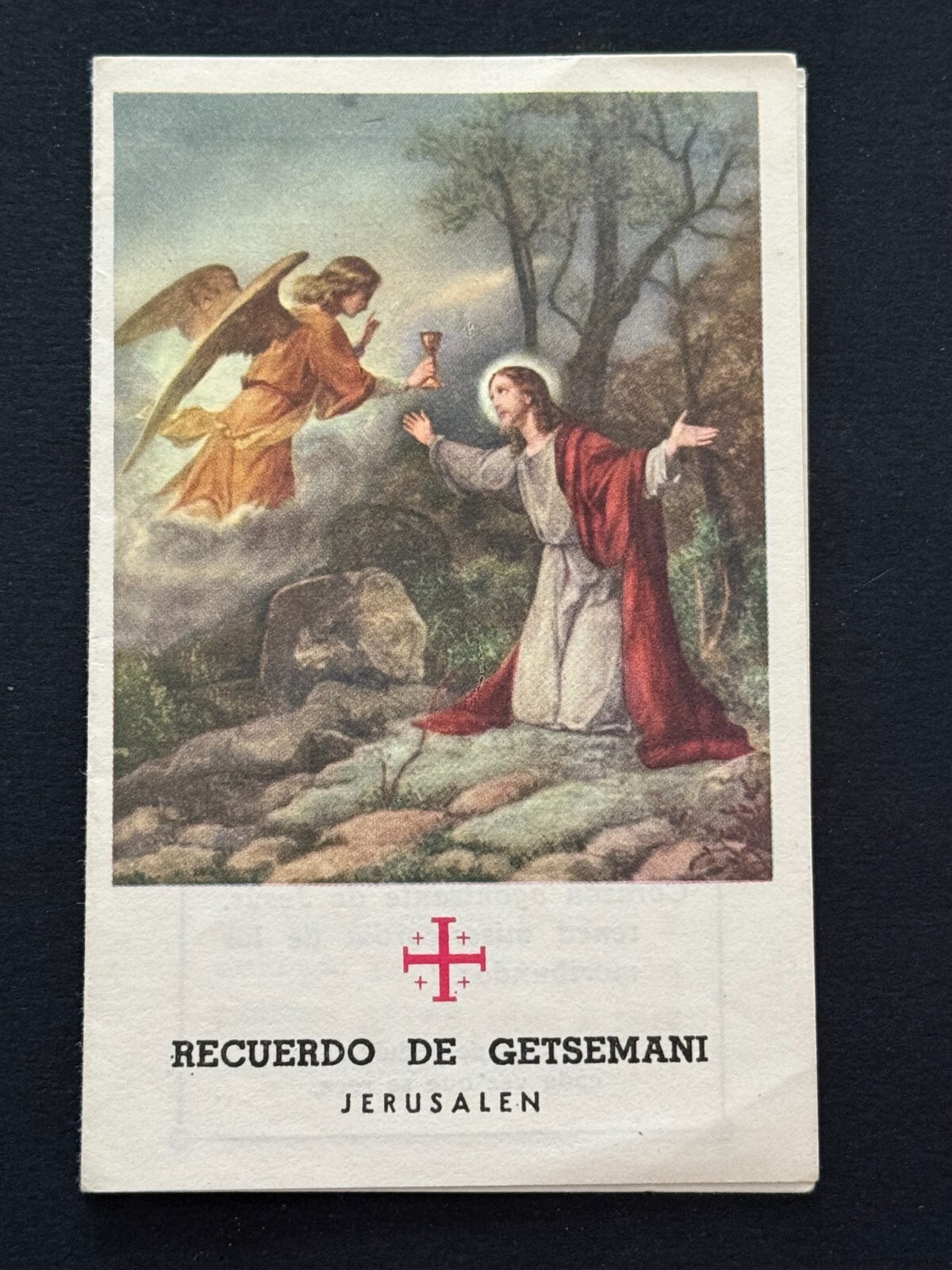 holy card relic santino reliquie reliquia 