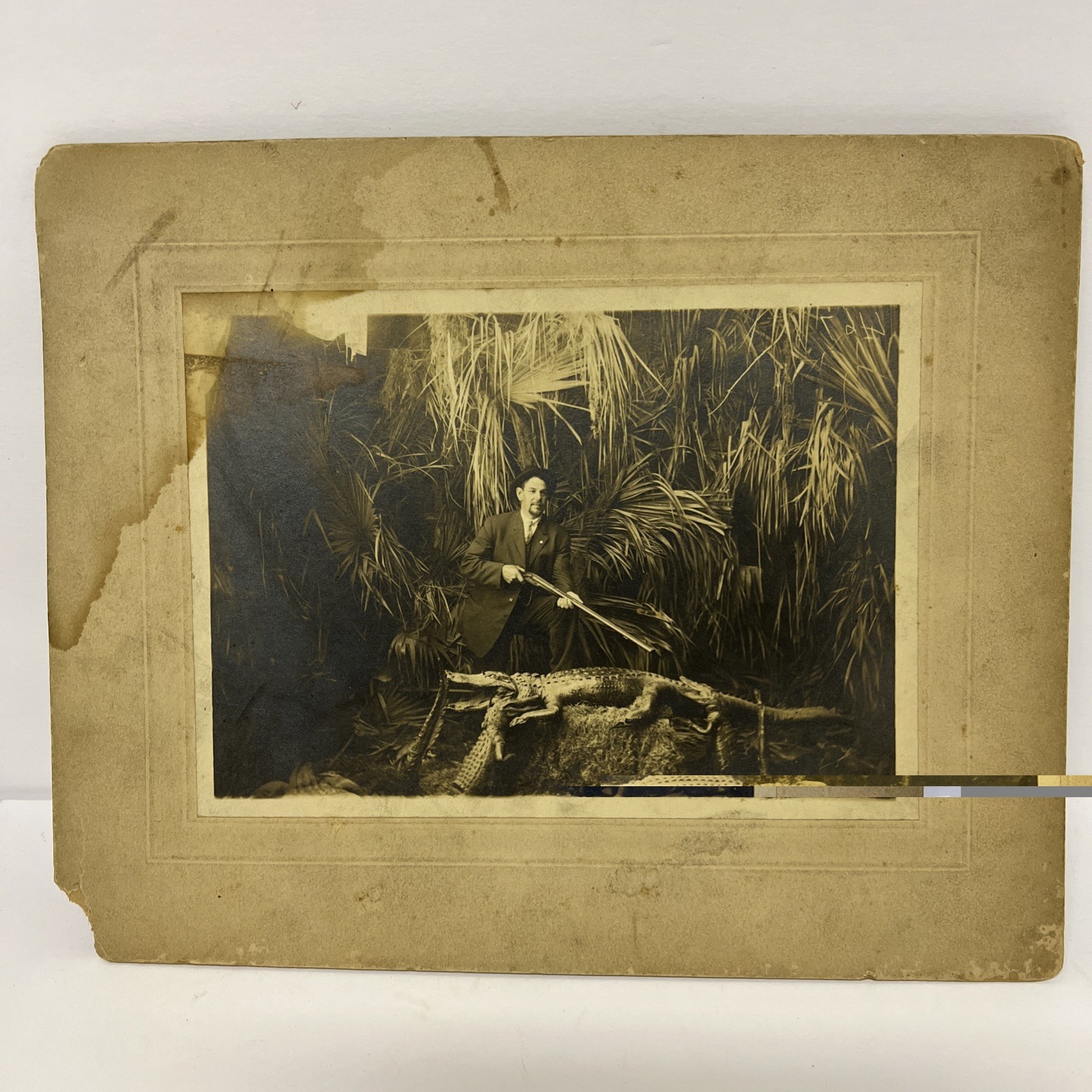 Antique 1915 Distinguished Man Posing With Alligators Photo St. Augustine Fl. Antique 1915 Distinguished Man Posing With Alligators Photo St. Augustine Fl.