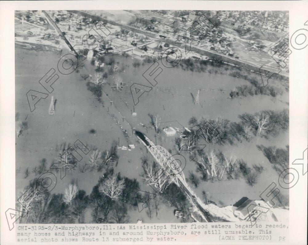 1949 Murphysboro IL Aerial Photo of Many Flooded Homes & Highways Press Photo