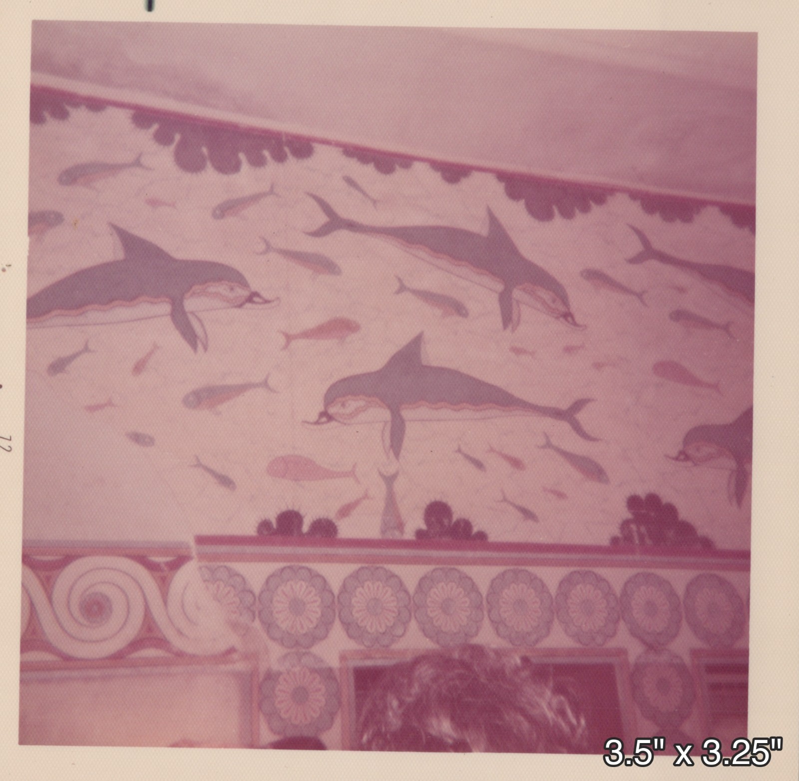 Knossos Crete Greece Minoan Dolphin Fresco Museum VINTAGE PHOTO