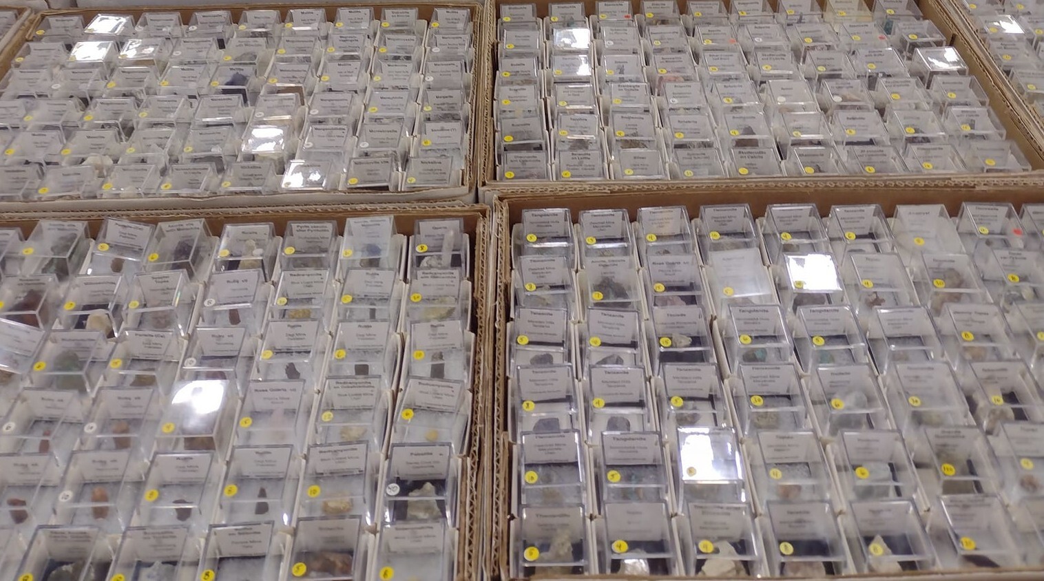 25 Piece Perky Box Thumbnail Mineral Collection
