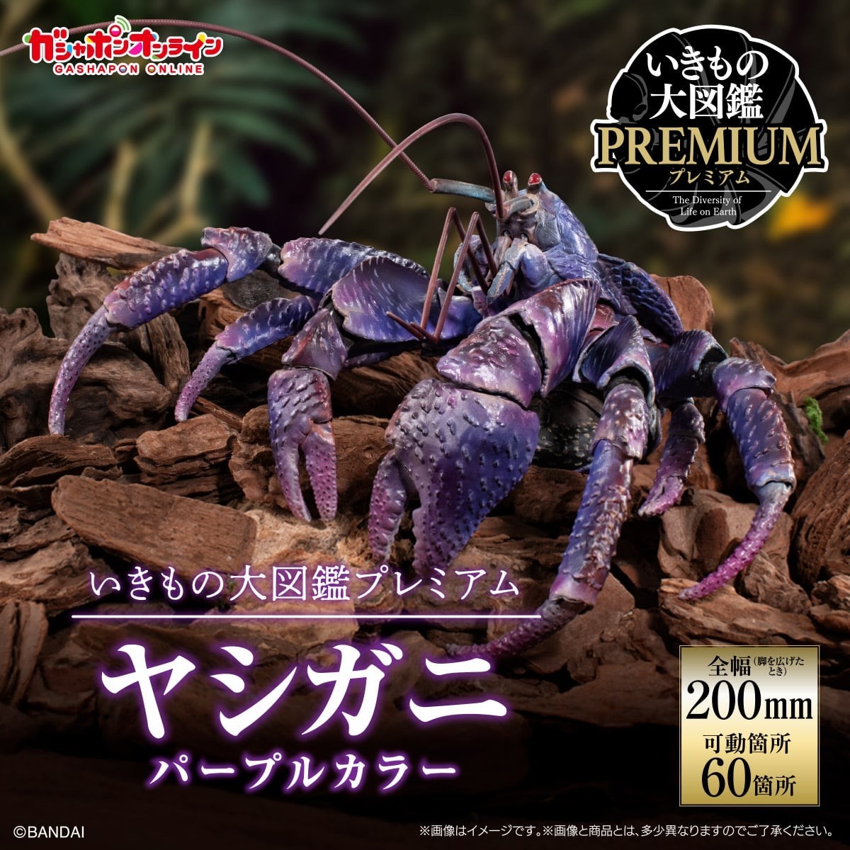 The Diversity of Life on Earth Premium Coconut Crab Purple Color Bandai