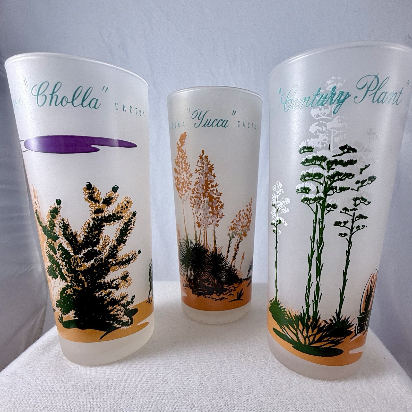 3 Vintage Blakely Oil Gas Arizona Cactus Frosted Highball Glasses Tumblers